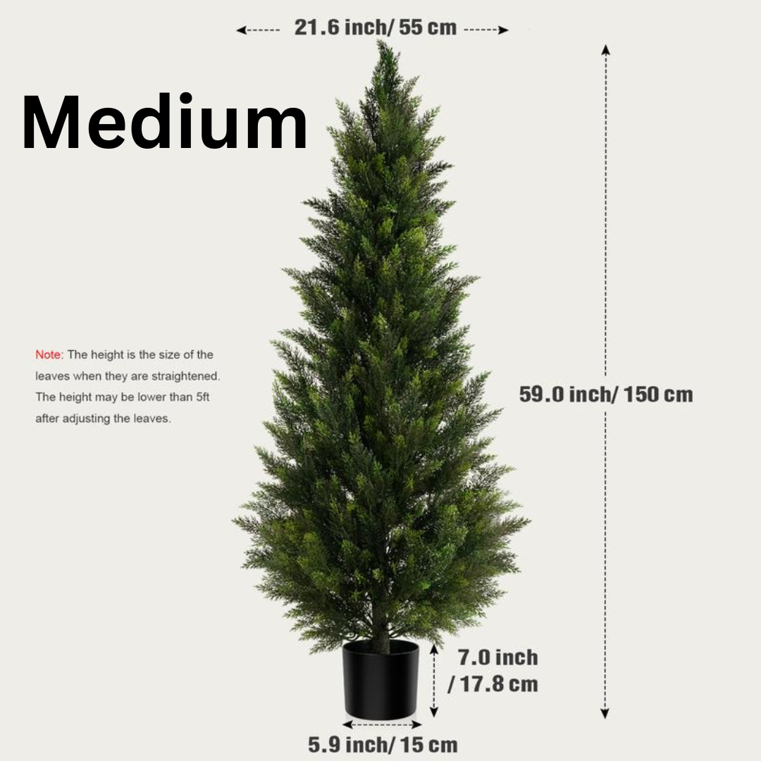 Cedar And Cypress Evergreen Trees