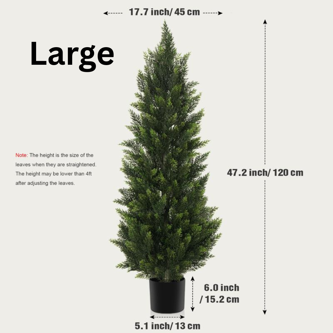 Cedar And Cypress Evergreen Trees