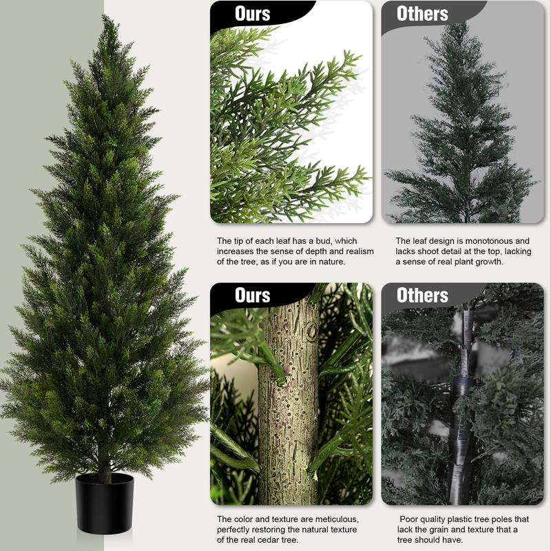 Cedar And Cypress Evergreen Trees