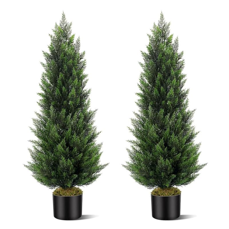 Cedar And Cypress Evergreen Trees